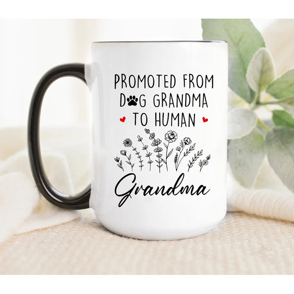 Promoted From Dog Grandma To Human, Mothers Day Gift