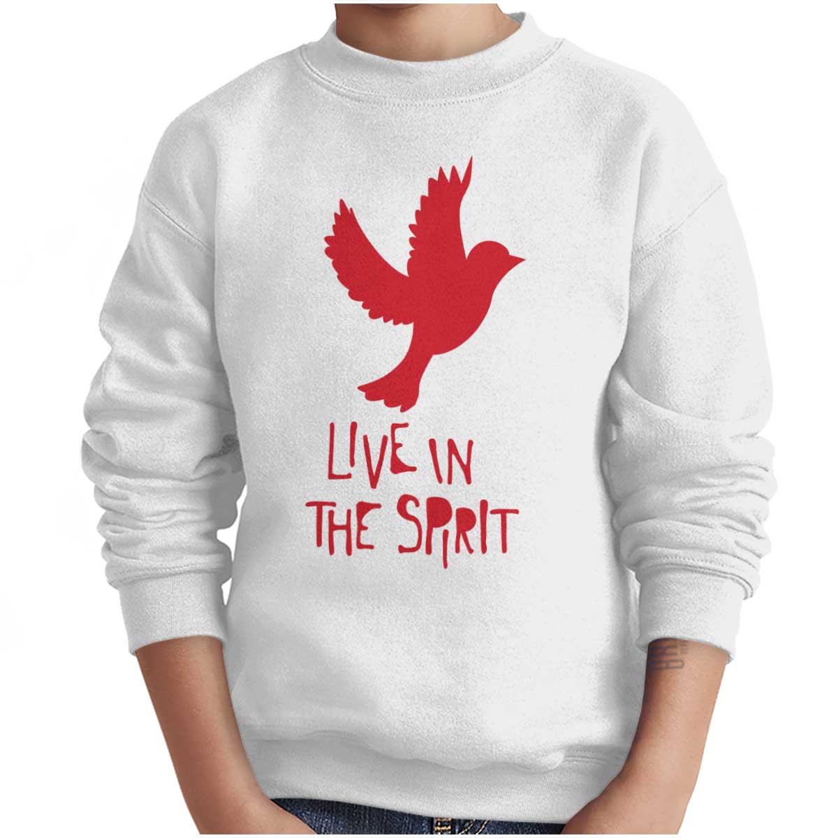 Live In Spirit Youth Sweatshirt